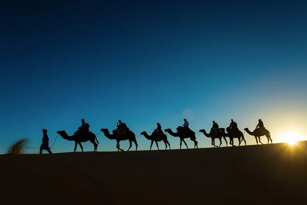 Sillhouette of camel caravan going through the desert at sunset.