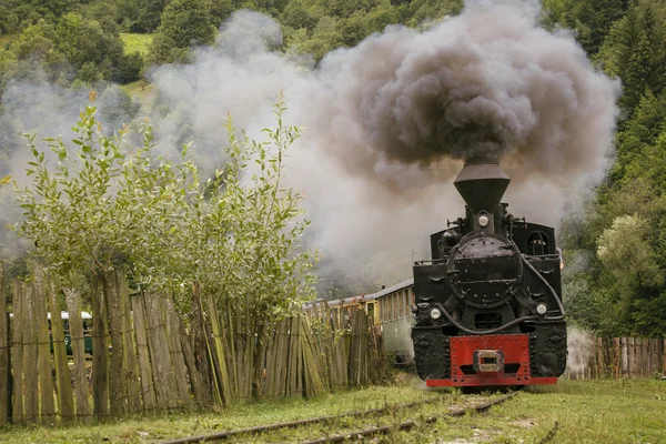 Old vintage train in green forest with big smoke