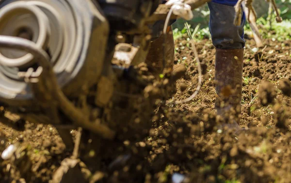 Farmer using machine mart cultivator for ploughing soil