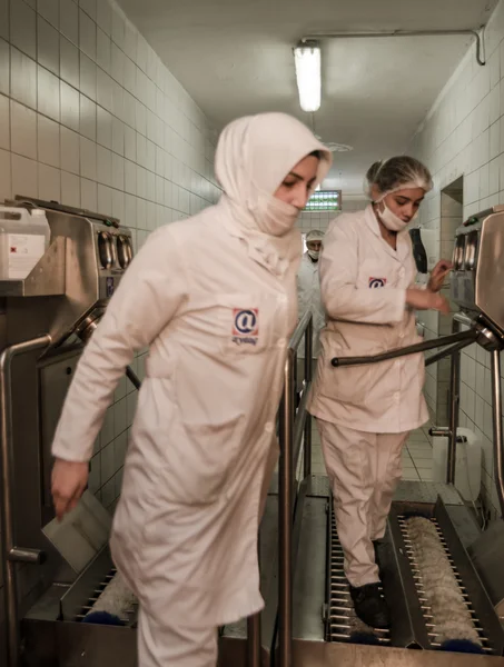 ISTANBUL, TURKEY - OCTOBER 3, 2012: Muslim woman workers working in a chicken meat plant