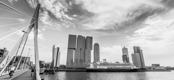 Cityscape of Rotterdam with cruise ship