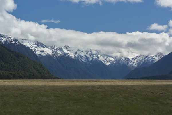Mountains and grassland. New Zealand