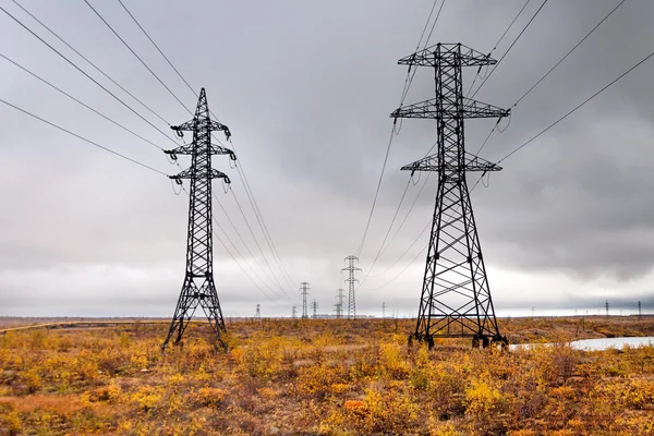 Supports high-voltage line. The tundra in the Arctic Circle