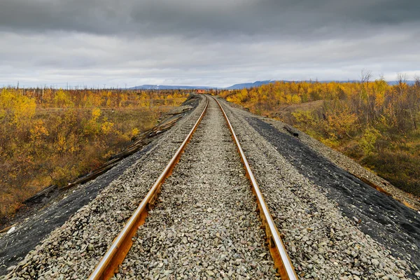 Railway track. Late autumn in the Arctic tundra.
