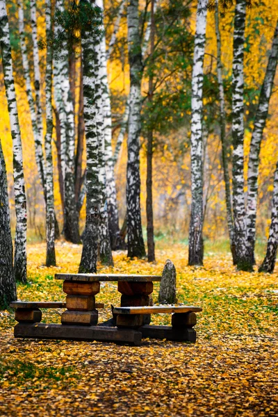 Wooden tables and benches in the autumn forest.