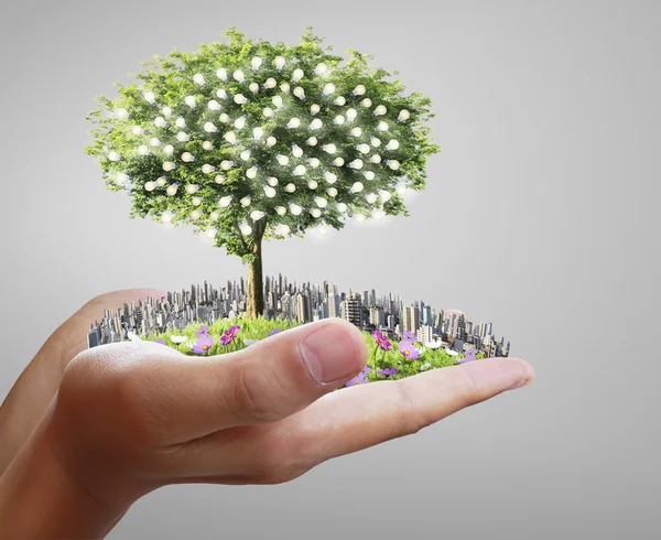 Human hands holding tree ,light bulb