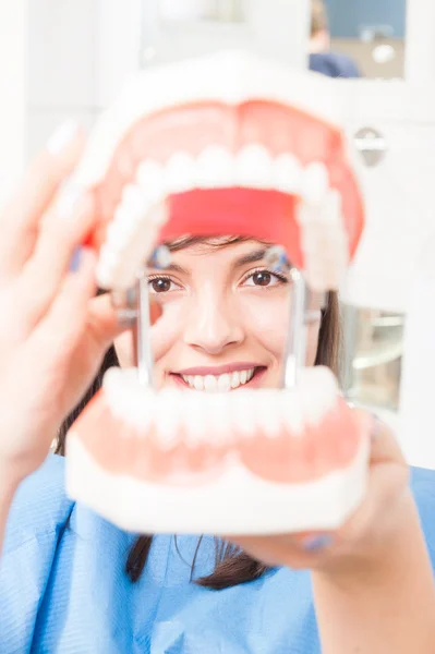 Close up of woman holding a plastic jaw model