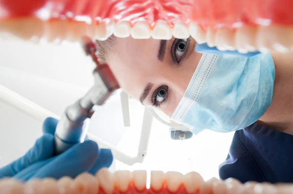 Close-up of young dentist examine patient\'s open mouth