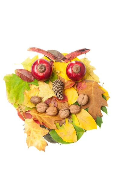 Angry face made of autumn fall leaves and fall decorations