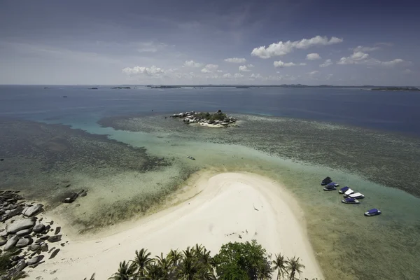 Tropical scene, sandy beach from birds eye view