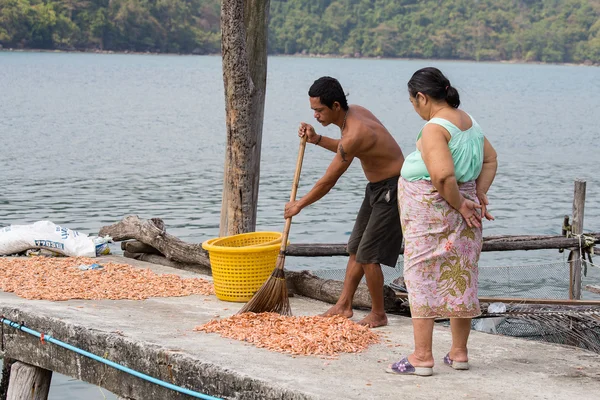 Thai man and woman working with dry shrimps in the fishing village. Island Koh Kood, Thailand