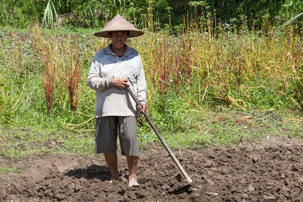 Old woman farmer holding spade at field. Bali, Indonesia.