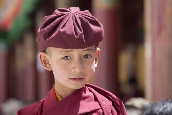 Portrait Tibetan Buddhist young monk in Hemis monastery, Ladakh, North India