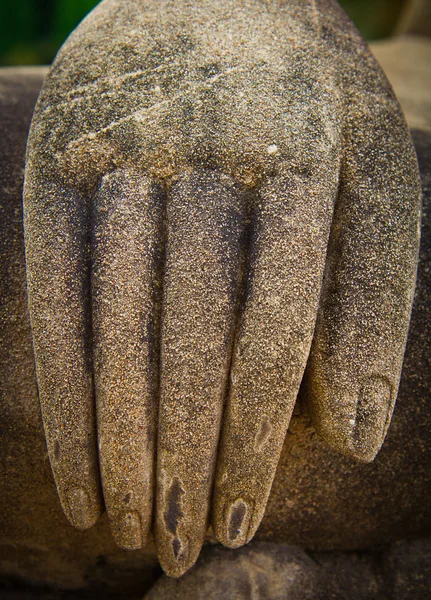 Buddha\'s hand close up