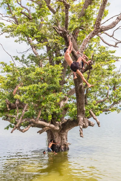 Myanmar children were playing by jumping from the tree at the river near U Bein Bridge