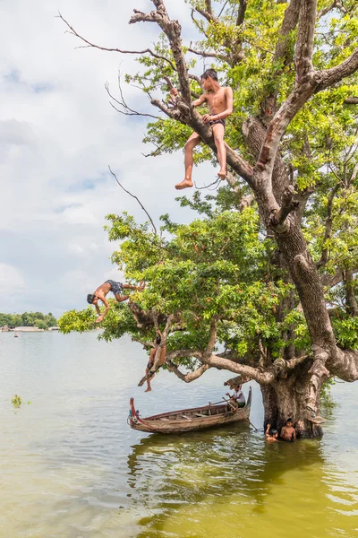 Myanmar children were playing by jumping from the tree at the river near U Bein Bridge