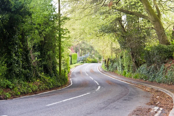 Winding country rural road in Surrey, England