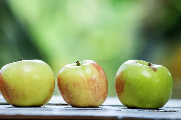 Three green and red apples on a white table and green background