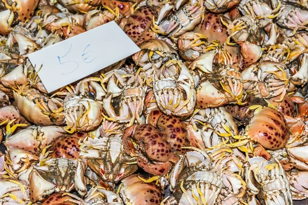 Crabs for sale in Olhao fish market