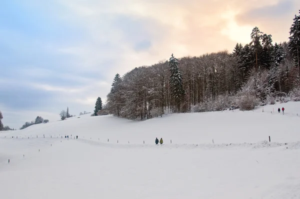 Beautiful winter landscape with snow covered