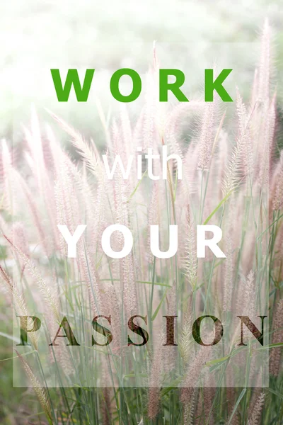 Inspiraional quote of work with your passion