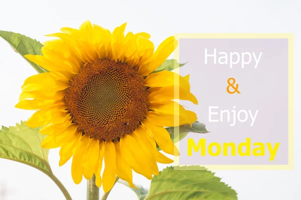 Happy and enjoy Monday inspirational quote