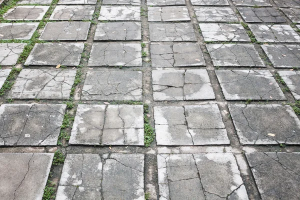 Concrete bricks path walk way