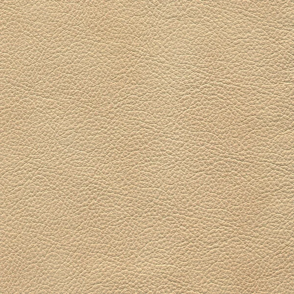 Backgrounds of leather texture