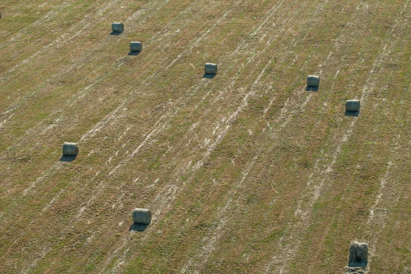 Aerial view of hay bales on harvest field