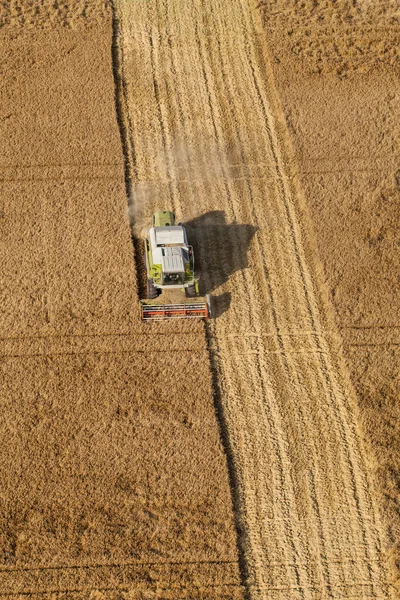 Aerial view of the combine on harvest field