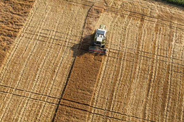 Aerial view of the combine on harvest field
