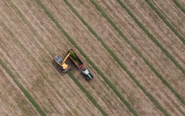 Aerial view of harvest field with tractor and combine
