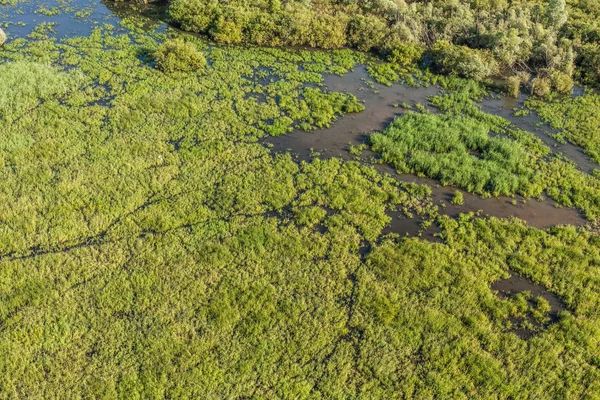 Aerial view of the wetland near Otmuchow town