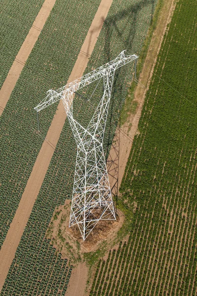 Aerial view of electrical wires in fields