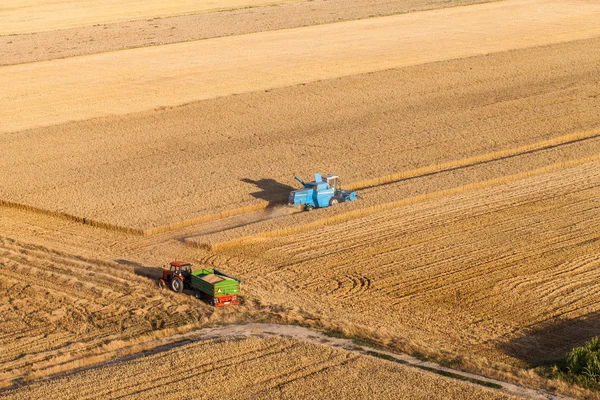 Aerial view of combine on the harvest field
