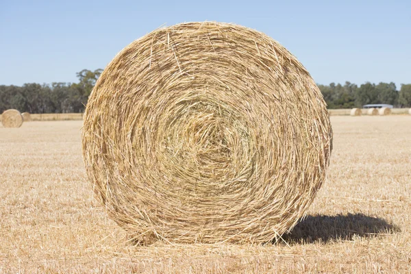 Rolled hay bale with texture on farm land