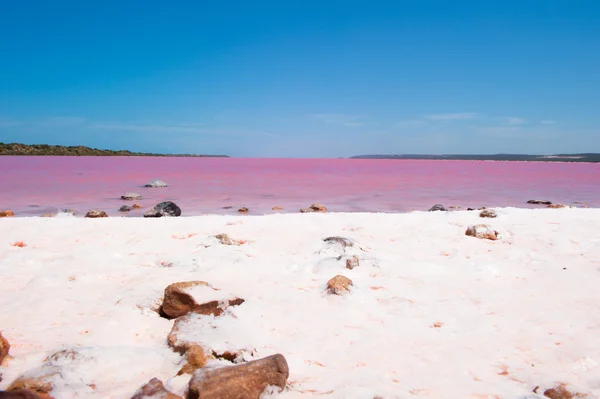 Pink Lake Panorama Australia