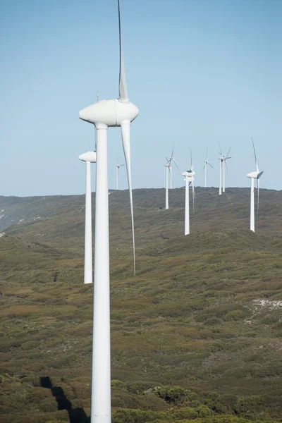 Clean Renewable Wind Energy Australia