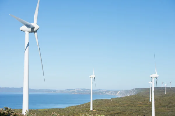 Clean Renewable Wind Power Farm Australia