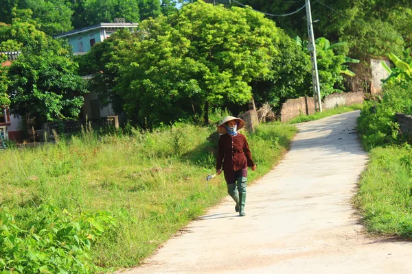 Peasant woman with sickle on the road