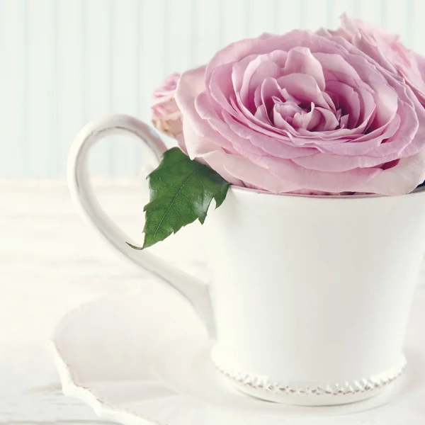 Cup filled with a bouquet of romantic pink roses2