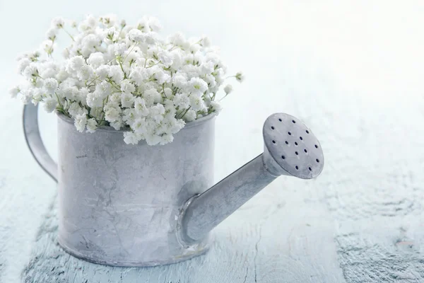 Watering can filled with white flowers