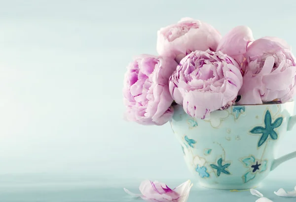 Pink peony flowers