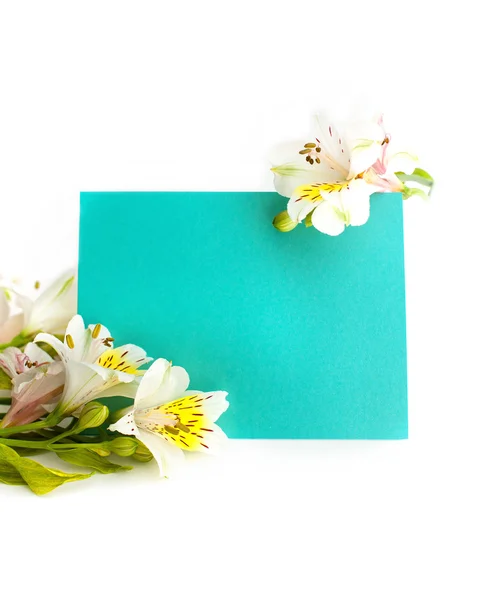 Frame flowers with a turquoise piece of paper background place for your text