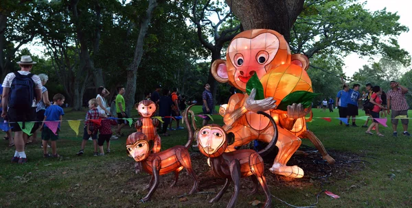Handmade Chinese Dragon lanterns in Auckland Lantern Festival