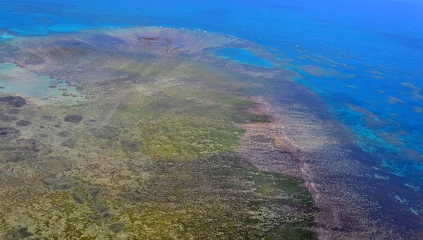 Aerial view of arlington coral reef at the Great Barrier Reef Qu