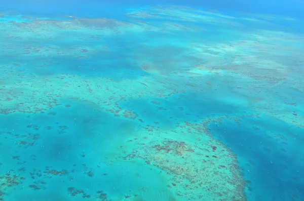 Aerial view of Oystaer coral reef at  the Great Barrier Reef Que