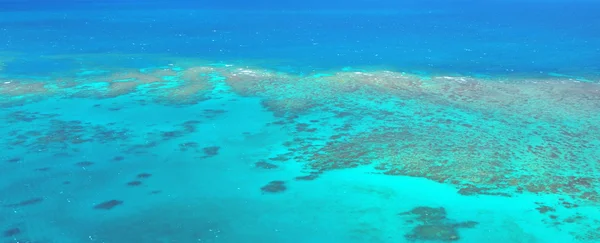 Aerial view of Oystaer coral reef at  the Great Barrier Reef Que