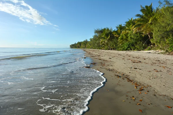 Four Mile Beach in Port Douglas Queensland, Australia.