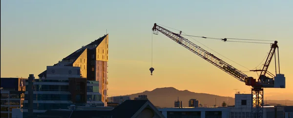 Tower crane against Auckland skyline at sunrise